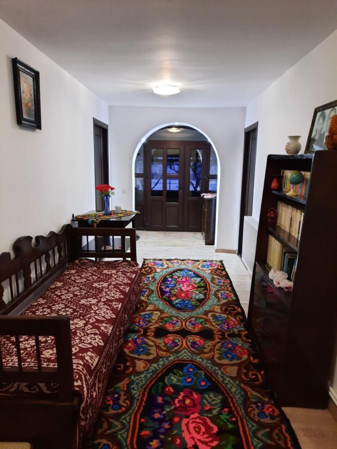 Casa Dumitru Si Elena Ciocanesti Bucovina Exterior photo